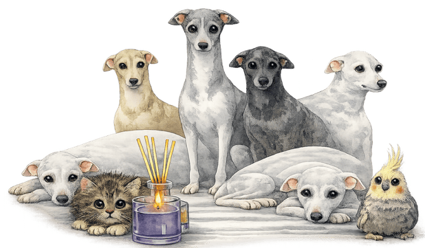 Image of pet friends