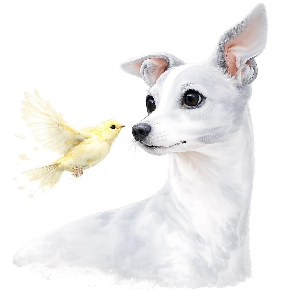 Profile of dog and canary